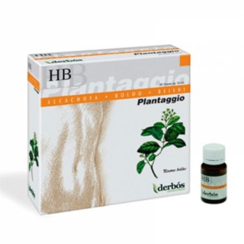PLANTAGGIO HB 20AMP     DERBOS