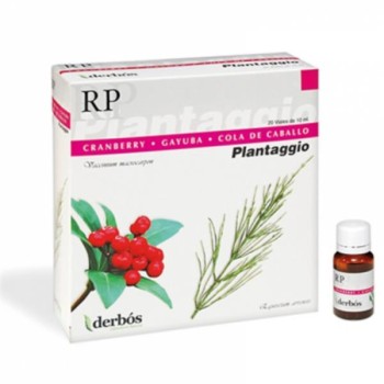 PLANTAGGIO RP 20AMP     DERBOS