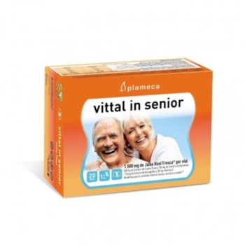 VITTAL IN SENIOR 20VIAL...