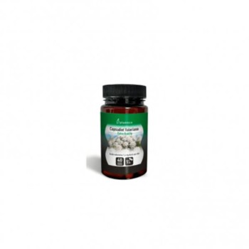 VALERIANA  80CAP    PLAMECA
