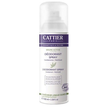 DESODORANTE BRUME SPRAY...