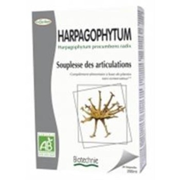 HARPAGOFITO  20AMP BIO...