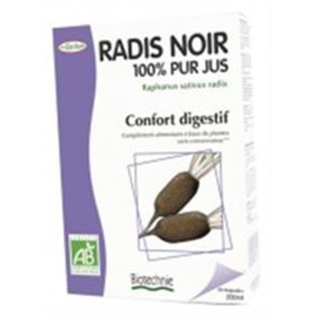 RABANO NEGRO  20AMP BIO...