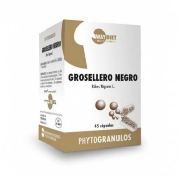 GROSELLERO NEGRO PHYTOGRAN...
