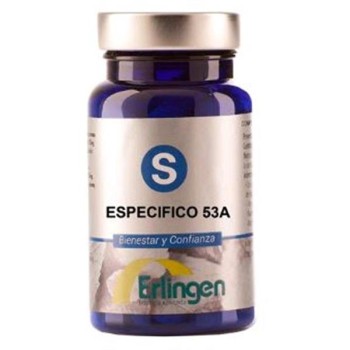 BASE   53 A  ESPECIFICO...