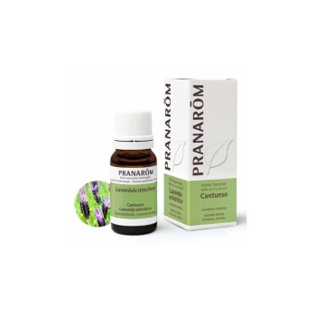 ESENCIA CANTUESO 10ML PRANAROM