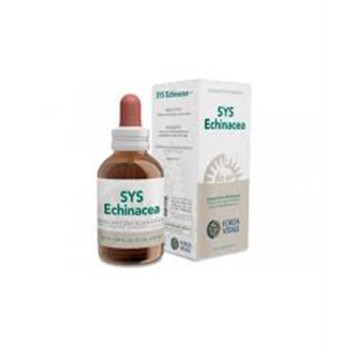 SYS ECHINACEA 50ML    FORZA