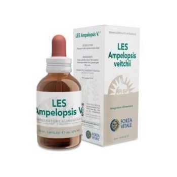 LES AMPELOPSIS WEITCHII...