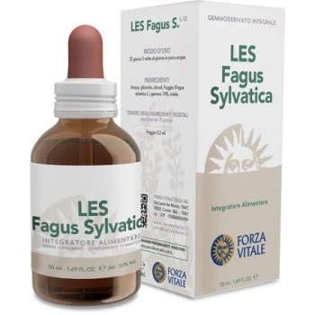 LES FAGUS SYLVATICA   50ML...