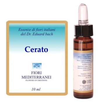 FM  5 CERATO 10ML FORZA