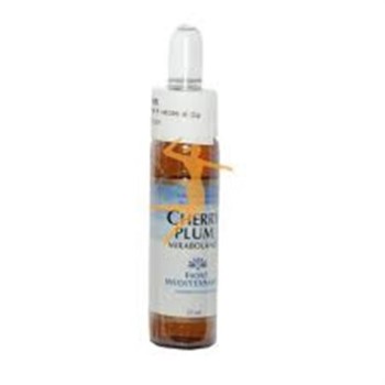FM  6 CHERRY PLUM  10ML FORZA