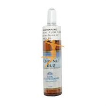 FM  7 CHESNUT BUD 10ML FORZA