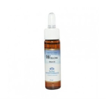 FM  8 CHICORY 10ML FORZA