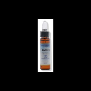 FM 12 GENTIAN 10ML FORZA
