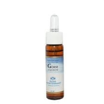 FM 13 GORSE 10ML FORZA