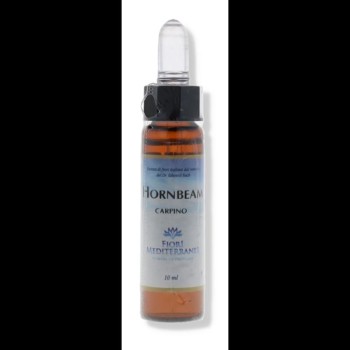 FM 17 HORNBEAN 10ML FORZA