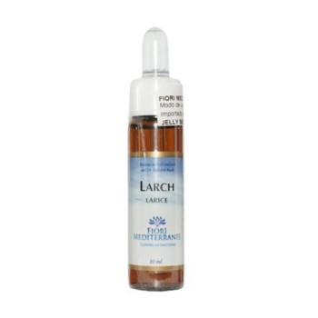 FM 19 LARCH 10ML FORZA