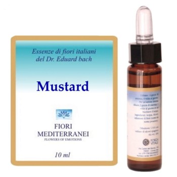 FM 21 MUSTARD  10ML FORZA
