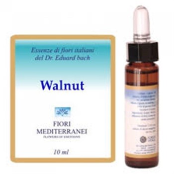 FM 33 WALNUT  10ML FORZA