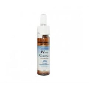 FM 37 WILDE ROSE 10ML FORZA