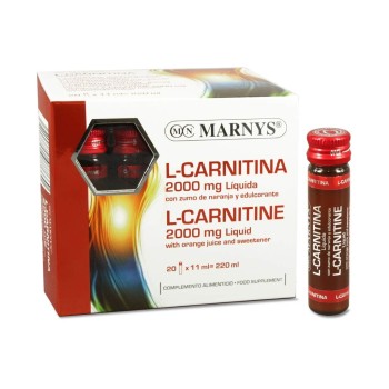 L CARNITINA  20VIAL  MARNYS