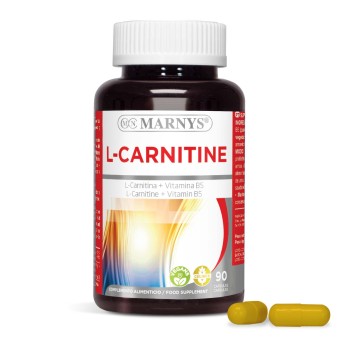 L CARNITINA VIT. B 5  90CAP...