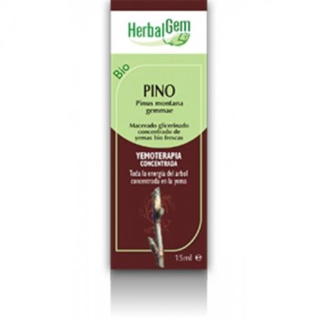 YEMO. PINO 15ML BIO HERBALGEM
