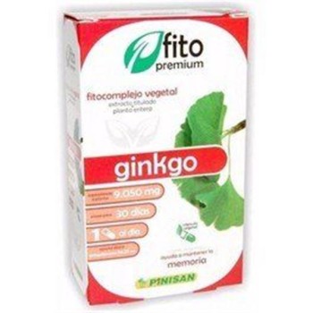 GINKGO BILOBA  30CAP...