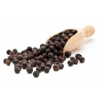 ENEBRO BAYA 50GR         BEDAR