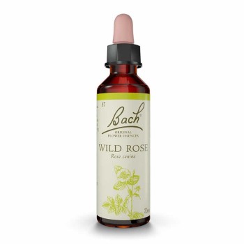 BACH 37 ROSA SI WILD R 20ML...