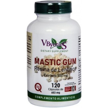 MASTIC GUM 120CAO...