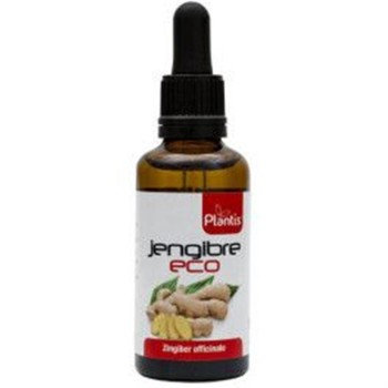 EXTRACTO JENGIBRE 50ML ECO...