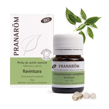 RAVINTSARA 60MINICAPS PRANAROM