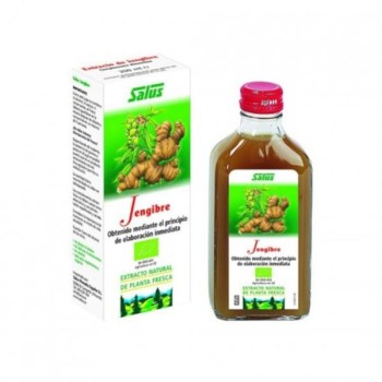 JUGO JENGIBRE 200ML BIO...