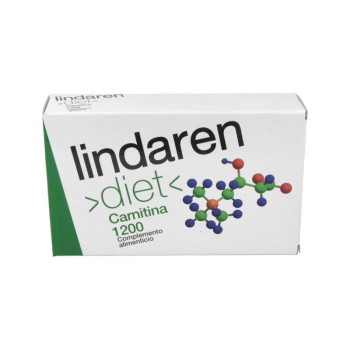 LINDAREN L CARNITINA  20AMP...