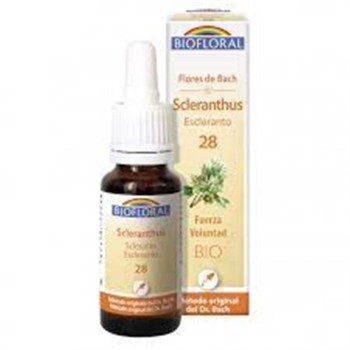 BACH. 28 SCLERANTHUS  20ML...