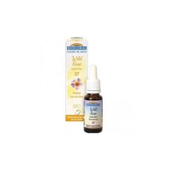 BACH. 37 WILD ROSE 20ML...
