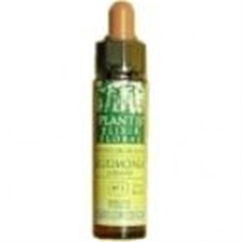 PLANTIS  4 CENTAUREA  10ML...