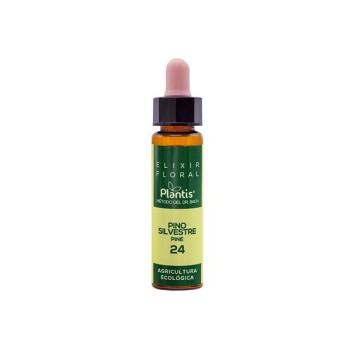 PLANTIS 24 PINO SILVES 10ML...
