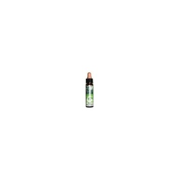 REMEDIO 6 AUTOESTIMA 10ML...