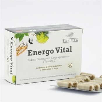 ENERGO VITAL 30CAP    BETULA