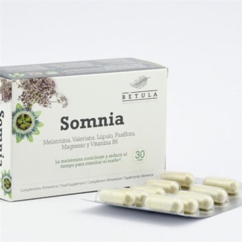 SOMNIA 30CAP      BETULA