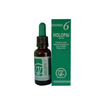HOLOPAI  6 ANTIINFLA EQUISALUD
