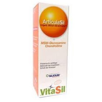 VITASIL ARTICULASIL MSM GEL...