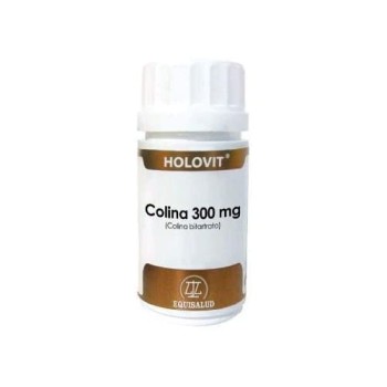 HOLOVIT COLINA/INOSITOL...
