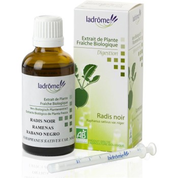 EXTRACTO RABANO NEGRO 50ML...