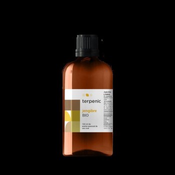 ESENCIA JENGIBRE 100ML BIO...