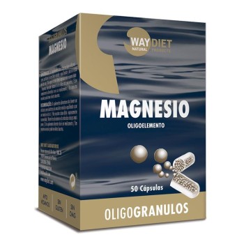 MAGNESIO 100COMP   WAYDIET