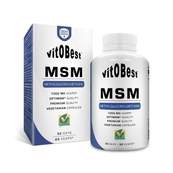 MSM 1000MG   60CAP    VITOBEST