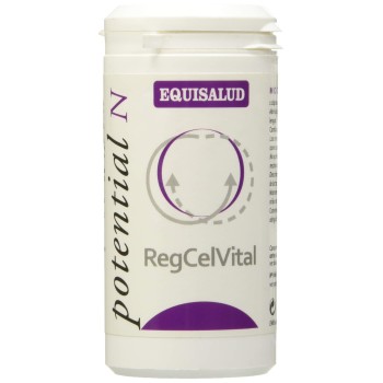 REGCEVITAL 60CAP  EQUISALUD